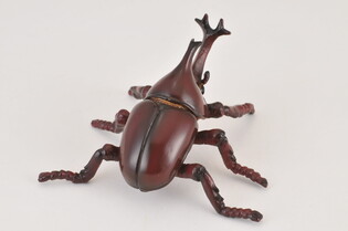 COLLECTA ROHATYNIEC NOSOROŻEC 4