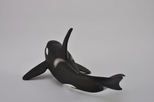 COLLECTA ORKA 5