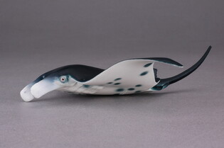 COLLECTA MANTA DIABEŁ MORSKI 3