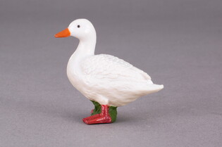 COLLECTA KACZKA BIAŁA
 4