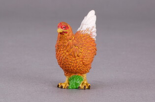 COLLECTA KURA
 3