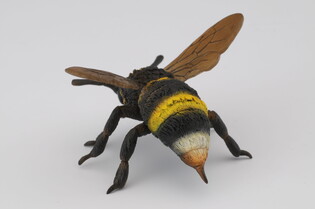 COLLECTA TRZMIEL 5