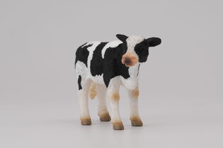 COLLECTA CIELĘ STOJĄCE 3