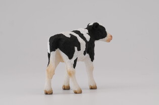 COLLECTA CIELĘ STOJĄCE 4