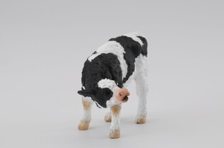 COLLECTA CIELĘ 3