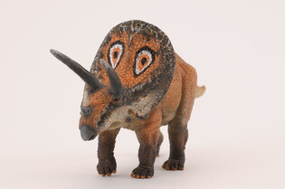 COLLECTA DINOZAUR TOROZAUR 3