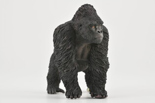 COLLECTA GORYL GÓRSKI 4