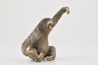 COLLECTA LENIWIEC 3