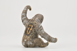COLLECTA LENIWIEC 4