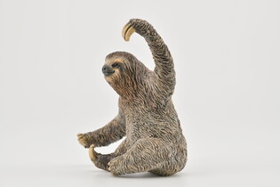 COLLECTA LENIWIEC 5