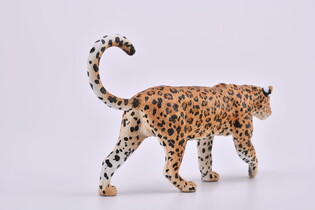 COLLECTA LAMPART AFRYKAŃSKI 3