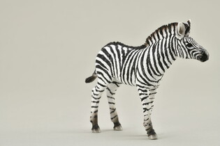 COLLECTA MŁODA ZEBRA 3