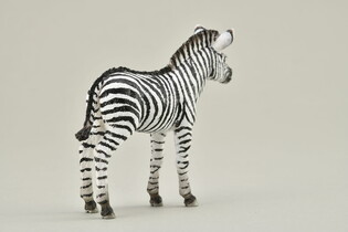 COLLECTA MŁODA ZEBRA 5