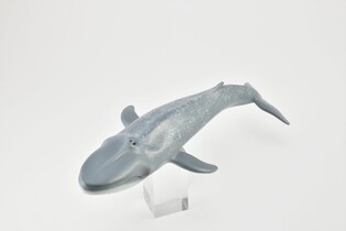 COLLECTA PŁETWAL BŁĘKITNY 3