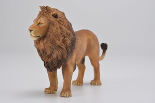 COLLECTA LEW AFRYKAŃSKI 3