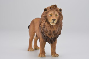 COLLECTA LEW AFRYKAŃSKI 5