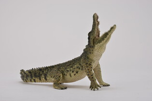COLLECTA KROKODYL NILOWY 3