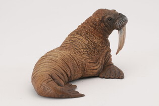 COLLECTA MORS 4
