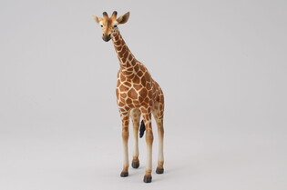 COLLECTA ŻYRAFA SIATKOWA 4