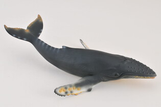 COLLECTA WIELORYB HUMBAK 4