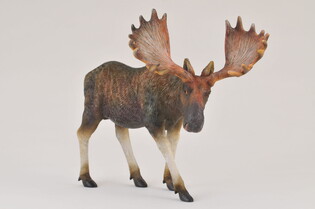 COLLECTA ŁOŚ 3