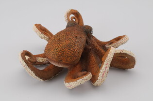 COLLECTA OŚMIORNICA 3