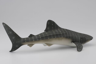 COLLECTA REKIN 4
