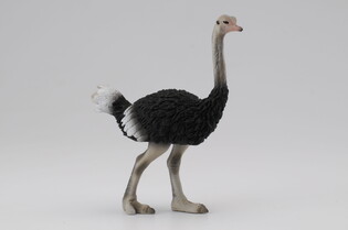 COLLECTA STRUŚ 3