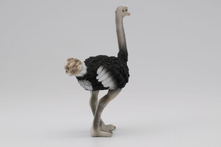 COLLECTA STRUŚ 4