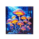 DIAMOND DOTZ ADULTS CANVA MUSHROOM MOONLIGHT
