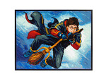 DIAMOND DOTZ ADULTS HARRY AT QUIDDITCH
