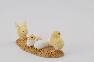COLLECTA KURCZAKI WYLĘGARNIA 3