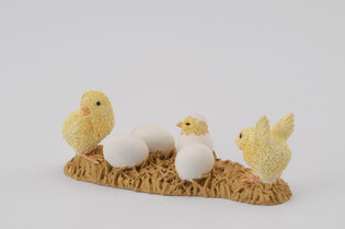 COLLECTA KURCZAKI WYLĘGARNIA 4