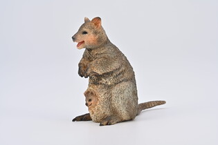 COLLECTA KUOKA Z MŁODYM 4