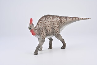COLLECTA MAGNAPAULIA 3