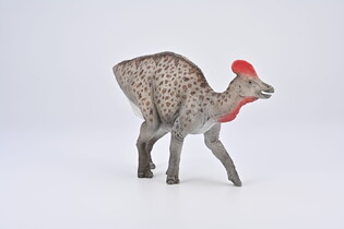 COLLECTA MAGNAPAULIA 5