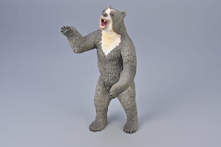 COLLECTA ARCTODUS 3