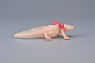 COLLECTA AKSOLOTL 3