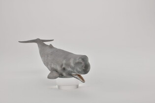 COLLECTA KASZALOT SPERMACETOWY 4