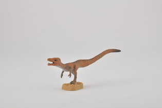 COLLECTA DNONOZAUR SCIURUMIMUS 3