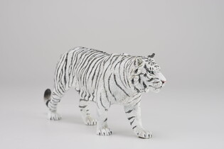 COLLECTA BIAŁY TYGRYS 4