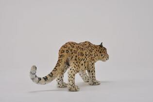 COLLECTA LAMPART AMURSKI 4