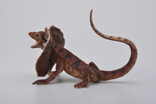 COLLECTA JASZCZURKA AGAMA KOŁNIERZASTA 5