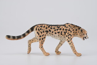 COLLECTA GEPARD KRÓLEWSKI 3