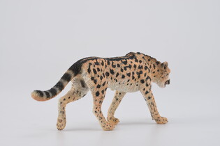 COLLECTA GEPARD KRÓLEWSKI 4