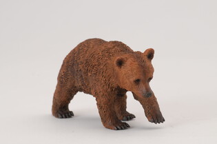 COLLECTA MŁODY NIEDŹWIEDŹ BRUNATNY 3