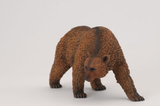 COLLECTA NIEDŹWIEDŹ BRUNATNY 3