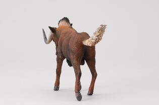 COLLECTA GNU BIAŁOOGONOWE 4