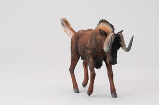 COLLECTA GNU BIAŁOOGONOWE 5