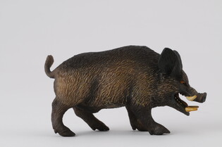 COLLECTA DZIK ODYNIEC 3